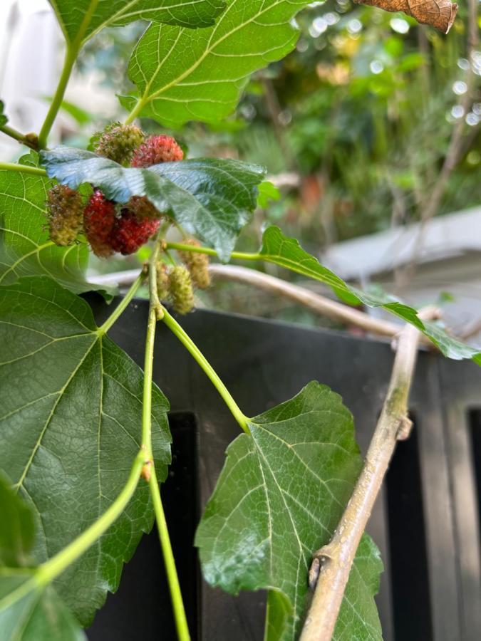 White River Guesthouse พนมเปญ ภายนอก รูปภาพ